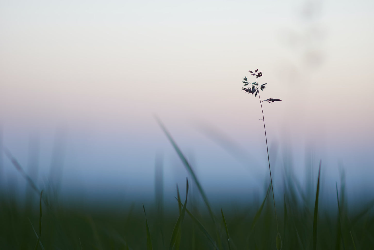 shalowa-carte-cadeaux-credit-wolfgang-hasselmann-W14OJixQuSY-unsplash
